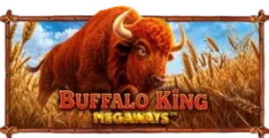 ภาพเกม Buffalo King Megaways ที่ ดวงเฮง168 รวบรวมไว้